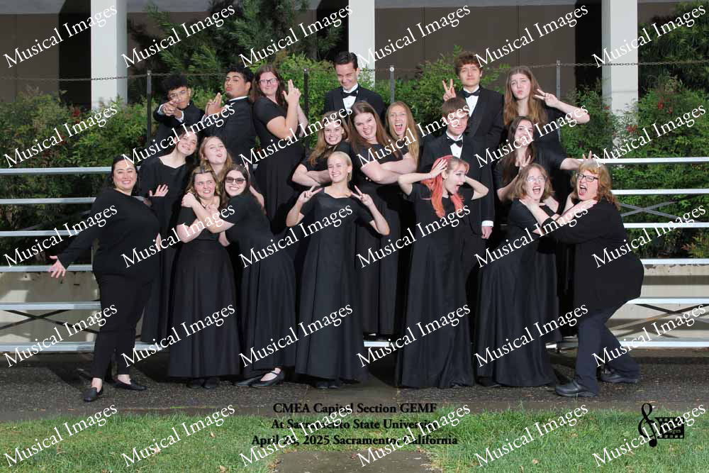Musical Images